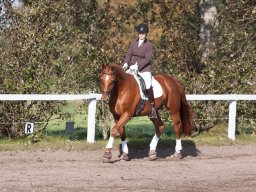 IMG_7767_web